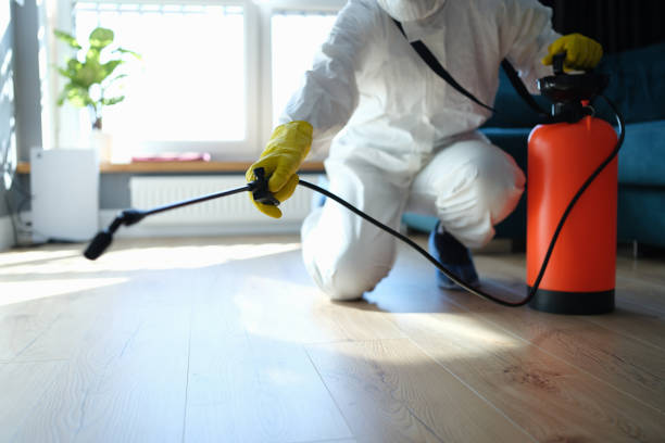 Reliable Odor Removal contractor in Forestville, WI by Trauma Clean Pros